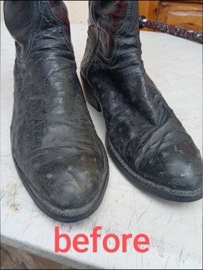 Lucchese Full Quill Ostrich Relast